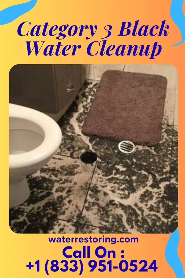Category 3 Black Water Cleanup in Daleville, IN