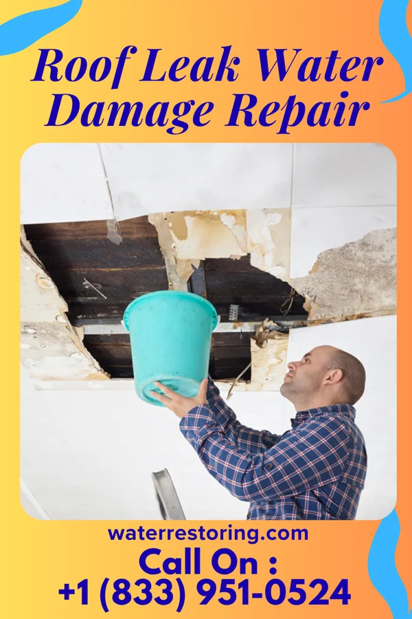Roof Leak Water Damage Repair in Daleville, IN